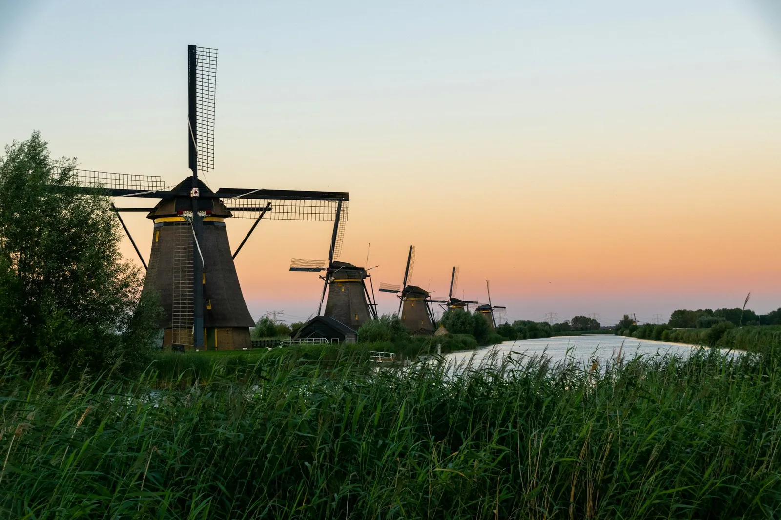 Moulins de Kinderdijk alignés le long d'un canal au coucher du soleil, roseaux au premier plan