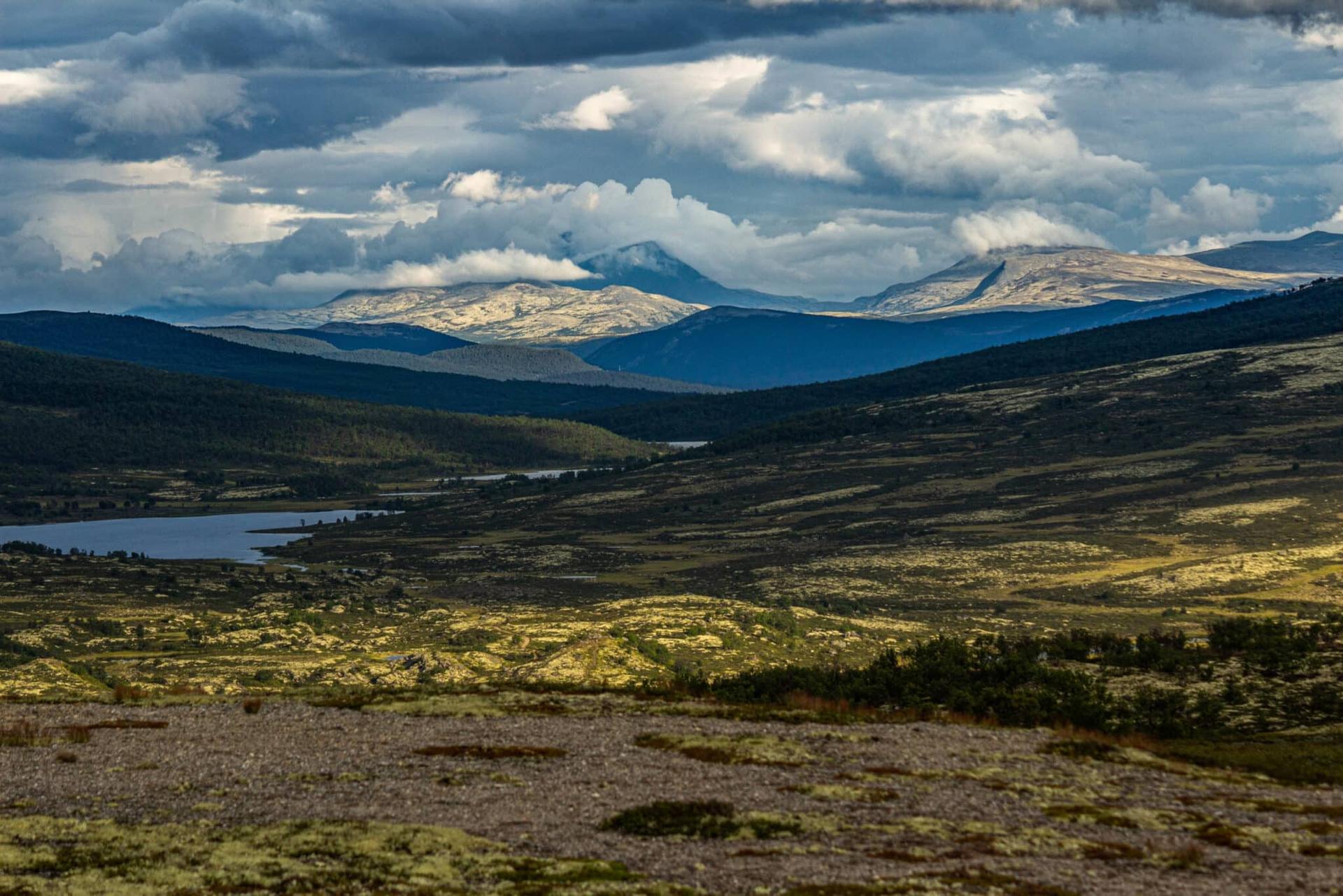 Immersion dans le Dovrefjell — 