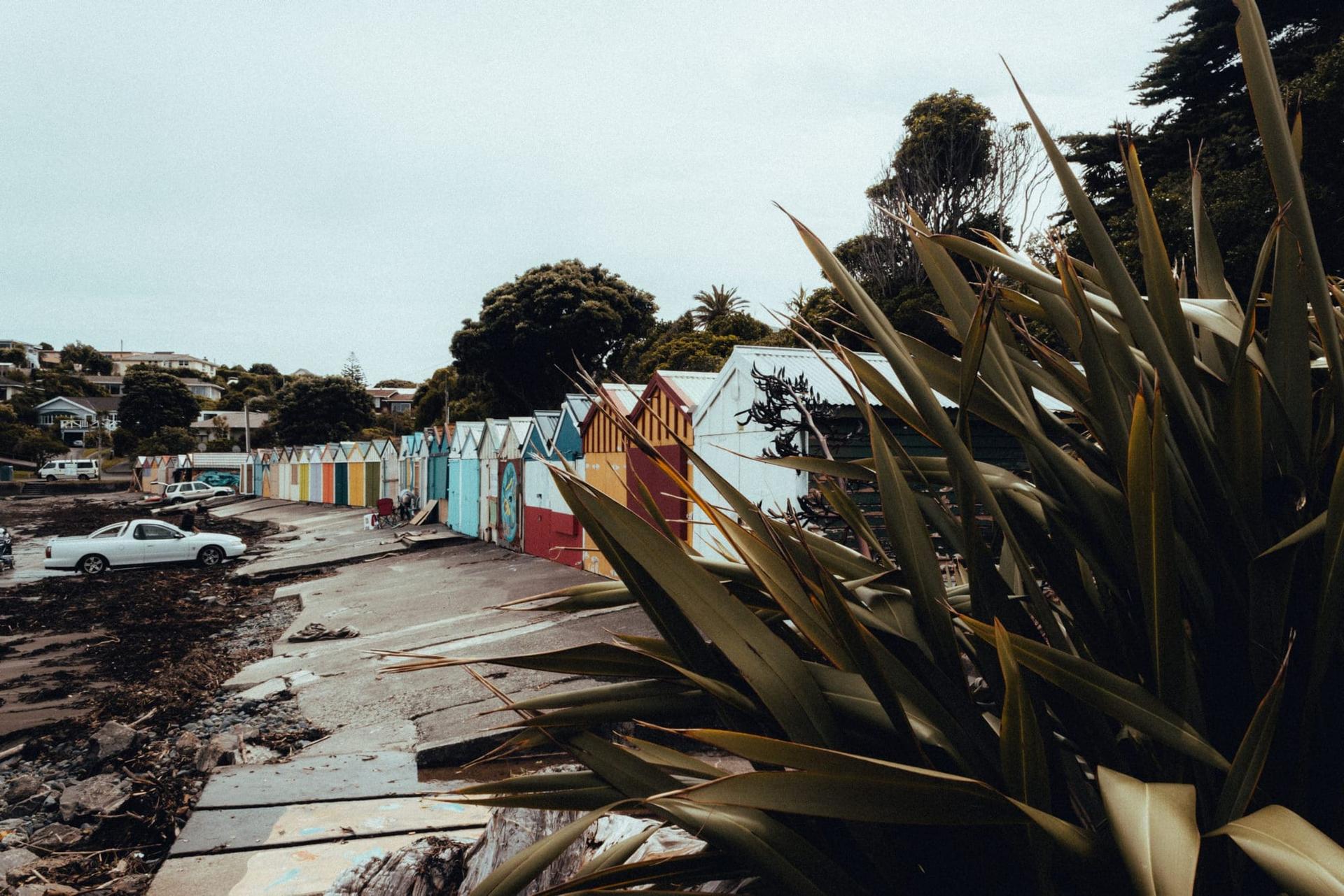 En route vers Wellington — Nouvelle-Zélande