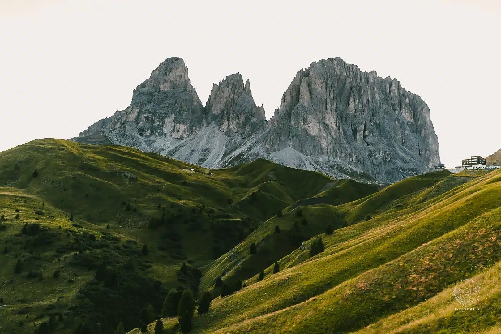 Lee Jenkins (@into.ze.wild) – Interview — 