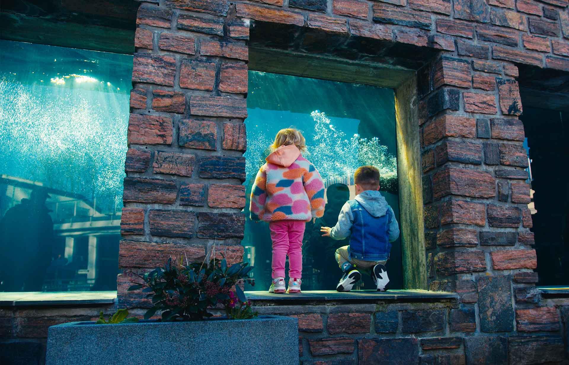 L’Aquarium de Bergen en Norvège : Avis, Prix, Adresse et Réservation — Norvège