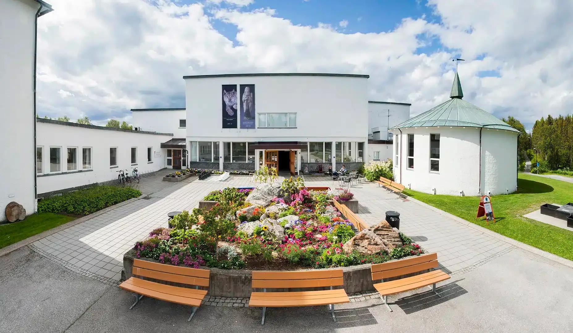 Visiter The Arctic University Museum of Norway à Tromsø — Norvège