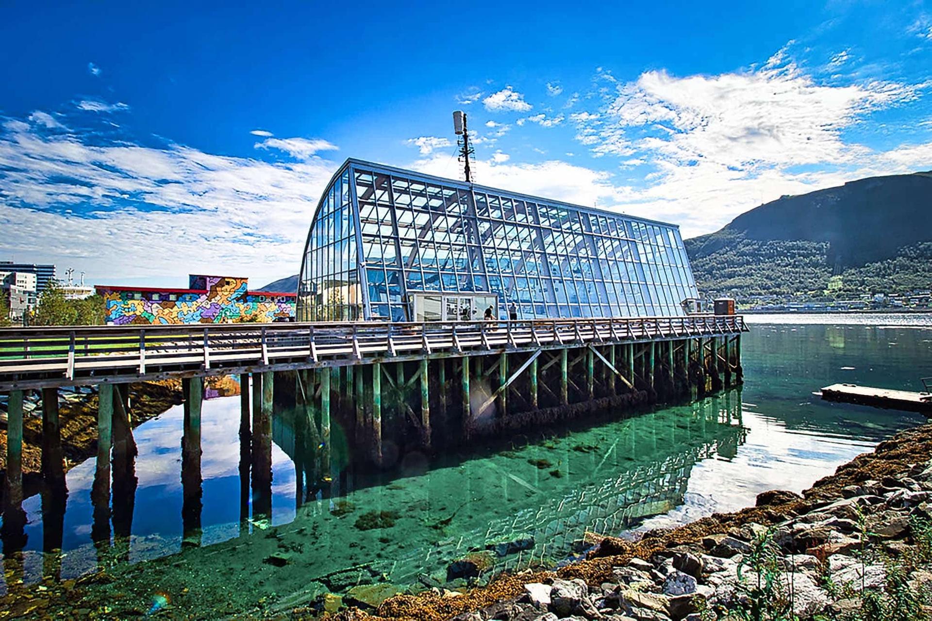 Découvrir le MS Polstjerna à Tromsø, un voyage dans le temps — Norvège