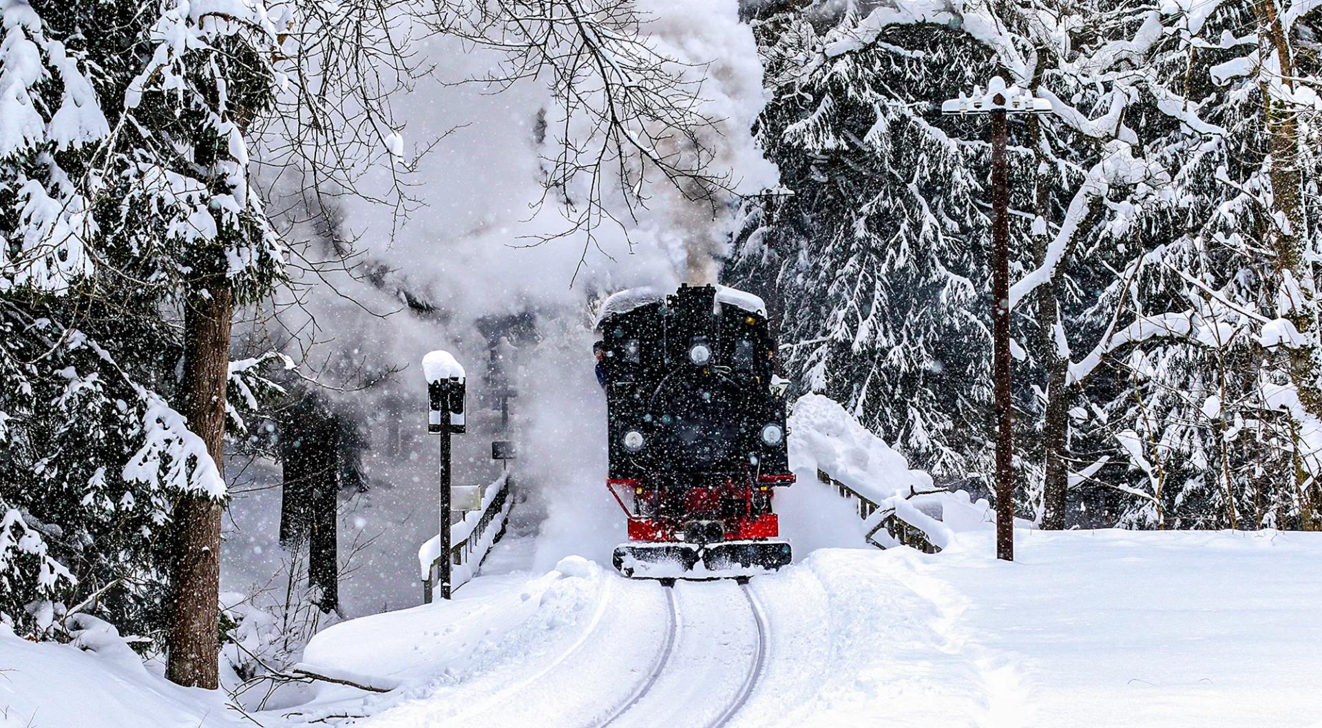 16 Activités magiques à New York pour Noël 2024