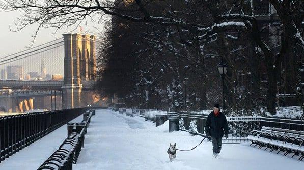 La promenade en hiver sous la neige avec le pont de Brooklyn en arrière-plan