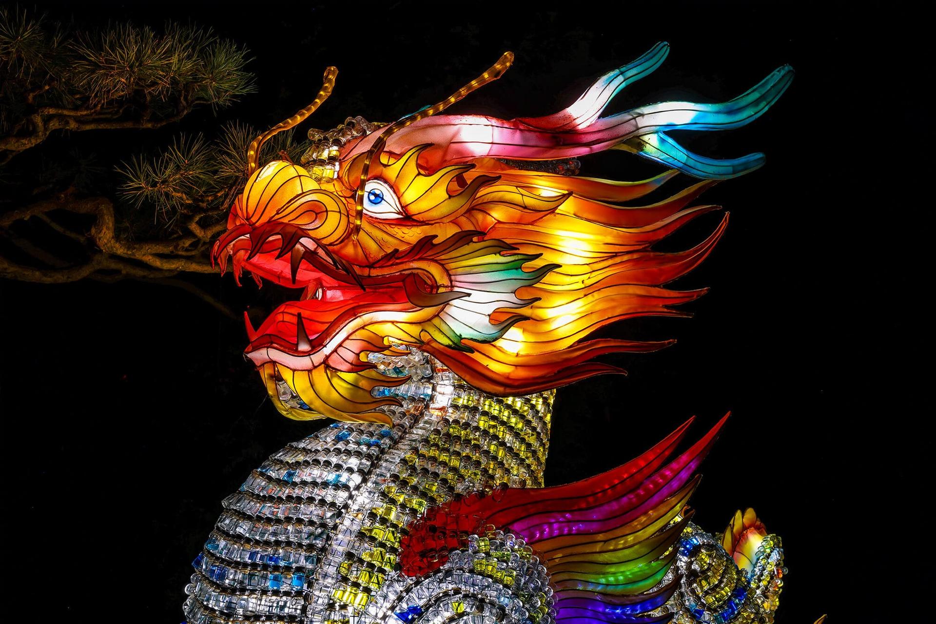 Halloween à Montréal 2025 : Le Guide Complet pour Frissonner dans la Métropole