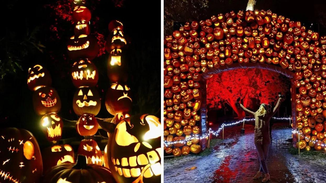 Halloween à Montréal 2025 : Le Guide Complet pour Frissonner dans la Métropole