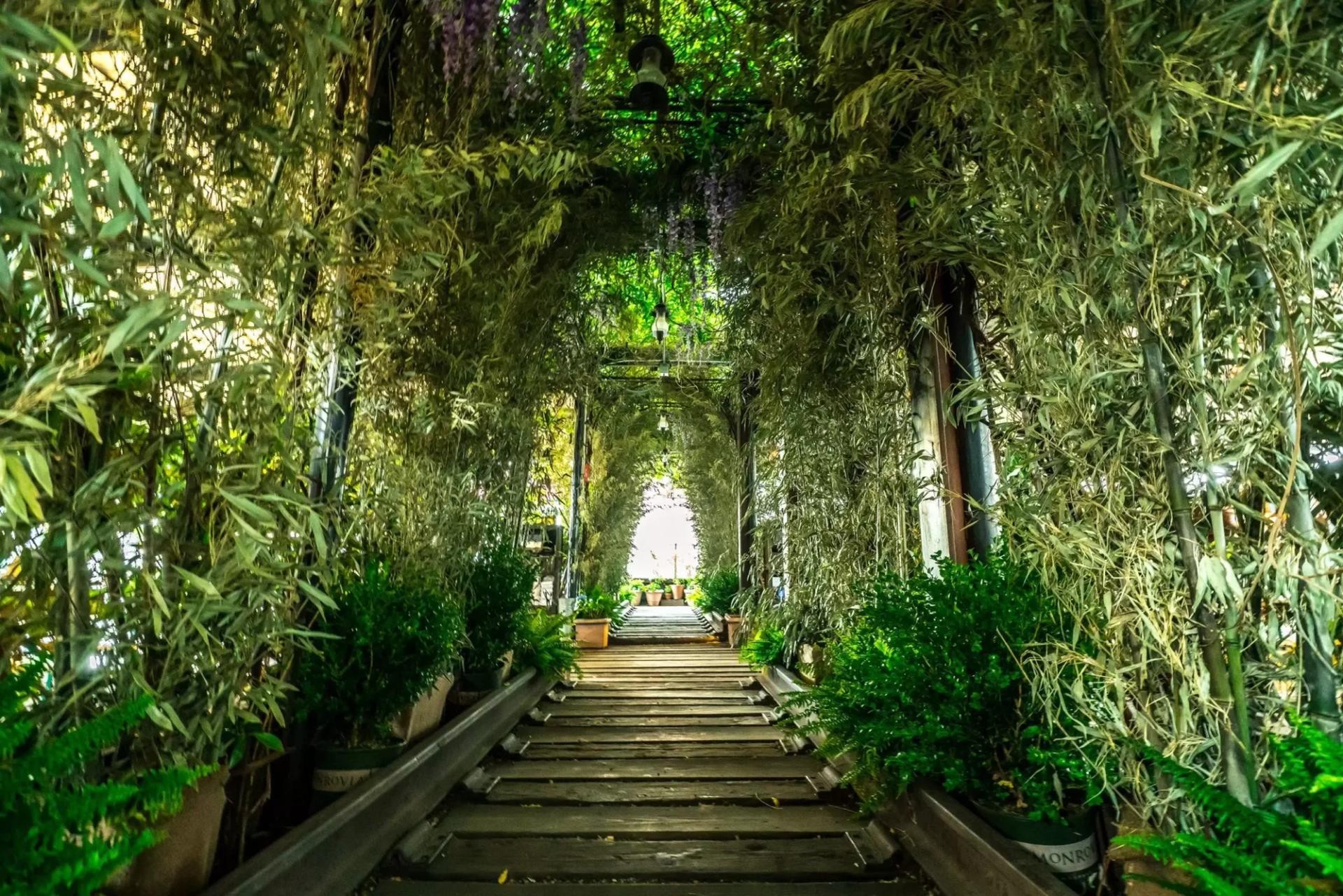 5 rooftops secrets à New York : vue imprenable garantie sans la foule