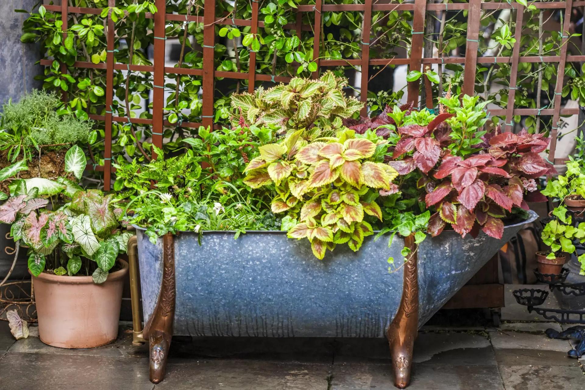 5 rooftops secrets à New York : vue imprenable garantie sans la foule