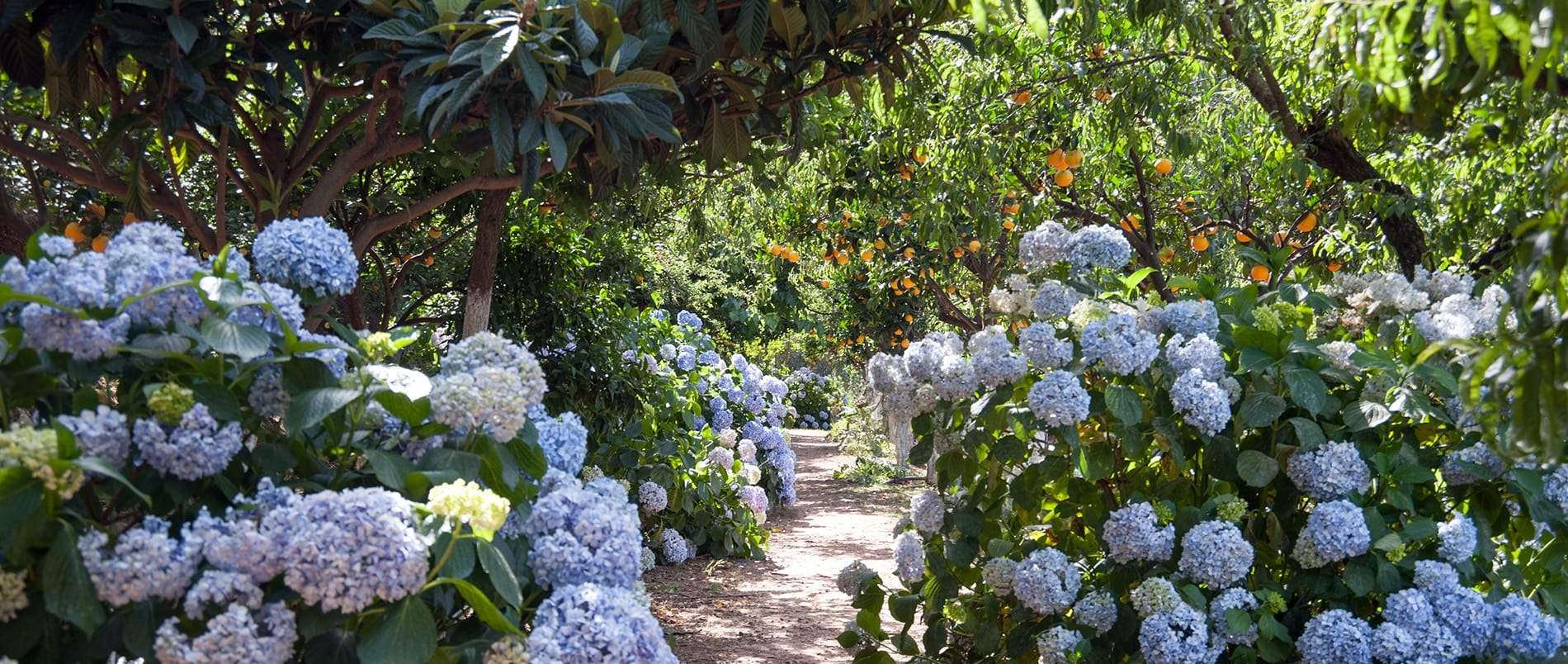 Le Botanical Garden de Crète : Un paradis botanique né des cendres