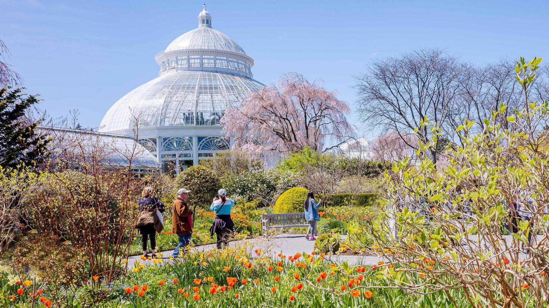 Guide Ultime du New York Botanical Garden dans le Bronx — New York