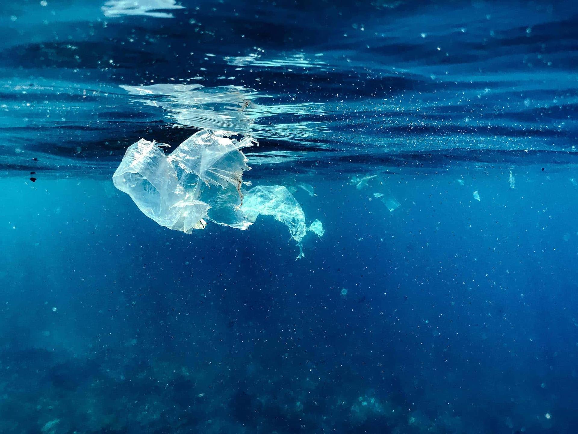 Astuces pour réduire ces déchets plastiques en voyage — 